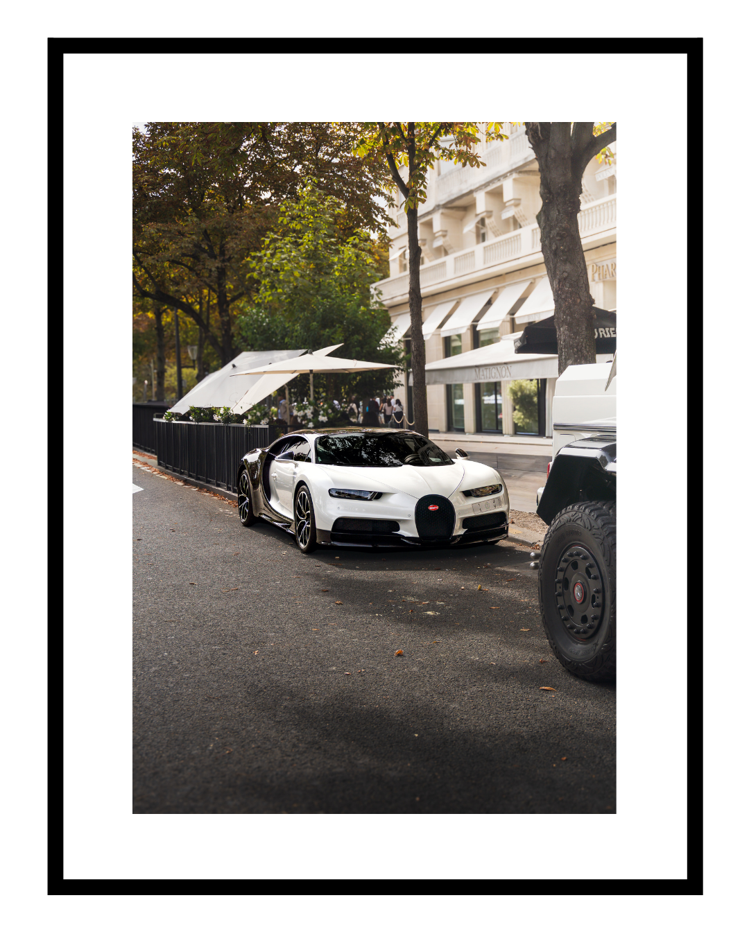 Panda Bugatti Chiron