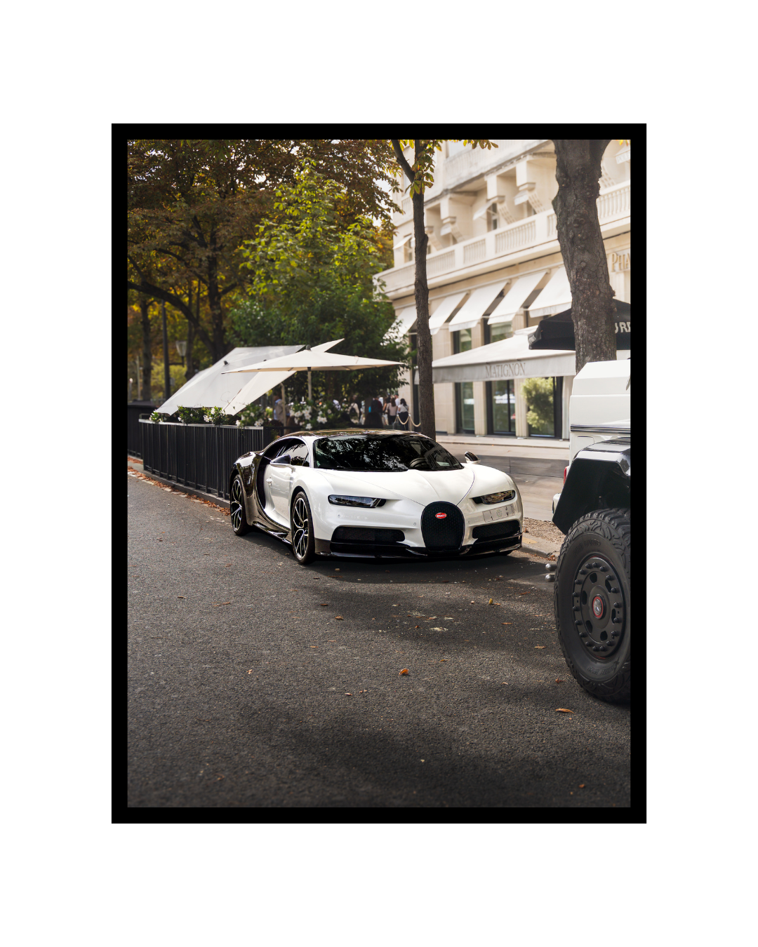 Panda Bugatti Chiron